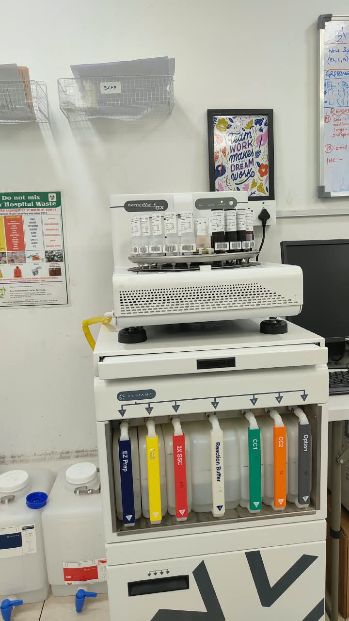 IHC marker panel workflow